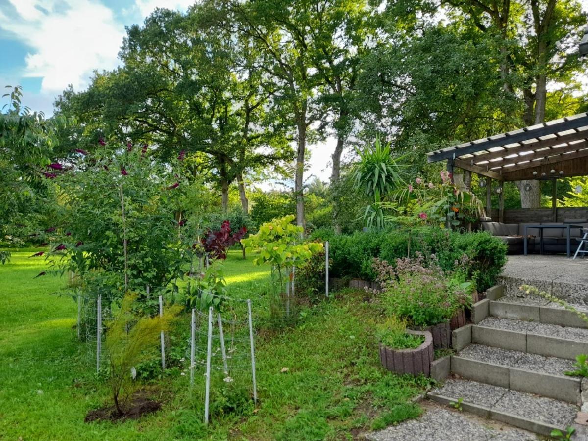 Haus Wald Und Wiese Wohnung Wald Ehndorf Extérieur photo